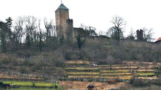Biodiversität fördern und Kulturlandschaft erhalten, so lauten Ziele der Nabu-Ortsgruppe um Gunther Hagemeister. Aus diesem Grund startet der Verein am Montag eine großangelegte Entbuschung an den Hängen des Schlossbergs. Positiver Nebeneffekt: ein deutlich besserer Blick auf die Starkenburg.