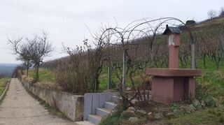 Von Schönberg in den Wolfsmagen: Am ehemaligen Altar der katholischen Kirche des Stadtteils können nun Freiluftmessen gefeiert werden.