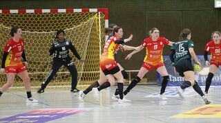 Mit einer sehr starken Abwehrleistung (v. li. Friedberger, Fehr, van Gulik, Schoenaker und Visser) legten die Flames den Grundstein zum Sieg gegen Oldenburg.