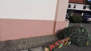 Vom Sturm wurde der Fastnachtsbaum vor der Sakristei schwer getroffen, der Stamm brach. Der Baum ließ sich aber trotzdem noch einmal aufstellen.