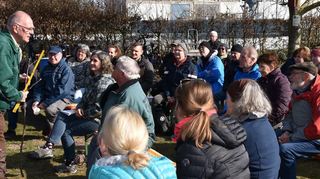 Experte Volker Schneider erklärte auch, wie wichtig das richtige Werkzeug ist: Bypass- und Amboss-Scheren und Baumsägen zum Beispiel. Entscheidend sei, dass sie scharf sind.  Bäumeschneiden kann auch gefährlich sein. Leitern sollten deshalb an beiden Enden mit Spanngurten befestigt werden, damit sie nicht wackeln oder sogar umfallen. Das gilt auch für die Eigensicherung in einem hohen Baum. Dazu könne ein Gurt angelegt werden, erklärt Schneider.So könne man mit beiden Händen Arbeiten.