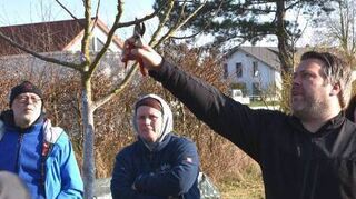 Streuobstwiesenretter Florian Schumacher zeigte Hobbygärtnern, wie man den Obstbaumschnitt richtig macht. Mit einer Rolle aus Kokosfasern können Zweige so gebunden werden, dass sie möglichst schräg nach außen wachsen, erklärt er. Außerdem komme es nicht nur auf den alten Grundsatz an, Licht und Luft in den Baum zu lassen, damit Vögel hindurchfliegen könnten, so Schneider. Sondern auch darauf, auf ein gutes Wachstum zu achten. <a href="https://www.bergstraesser-anzeiger.de/orte/einhausen_artikel,-einhausen-rekordbesuch-beim-baumschnittkurs-in-einhausen-_arid,1922433.html">Lesen Sie mehr: Rekordesuch beim Baumschnittkurs in Einhausen</a>