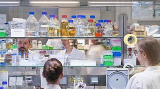 Die Brain Biotech AG will sich von einer stark forschungsorientierten Organisation zu einem integrierten Lösungsanbieter für die Industrie weiter entwickeln.