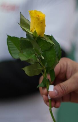 In den vergangenen Tagen waren in der Innenstadt Betrüger unterwegs, die Rosen an Passanten verkauften – angeblich für die Bensheimer Tafel.