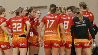 Viel Redebedarf gab es beim Spiel in Zwickau in den Auszeiten der Flames – geholfen hat’s wenig, am Ende stand eine 22:26-Niederlage.