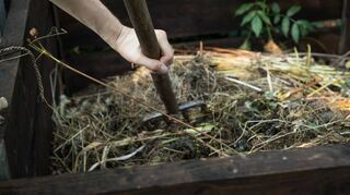 Im Komposthaufen verrotten Pflanzenreste und werden zu wertvollem Dünger.