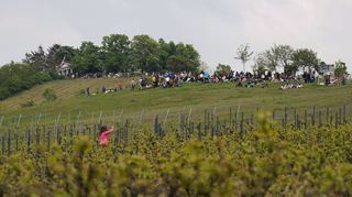 Die Weinlagenwanderung hatte zwar einen guten Neustart nach der Corona-Pause, doch einige der chronischen Probleme marschierten noch immer mit.