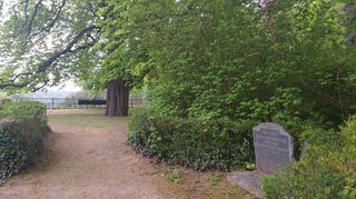 Der Gedenkstein für Alexander von Battenberg befindet sich seit vielen Jahrzehnten in einer kleinen Anlage am Weg zum Schönberger Schloss, rechts unterhalb der als Naturdenkmal geschützten großen Kastanie.