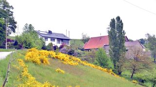 Aussiedlerhöfe wie der Sommerhof bei Ober-Laudenbach entsorgen ihr Abwasser über Klärgruben. Die Untere Wasserbehörde will diese Praxis stoppen.