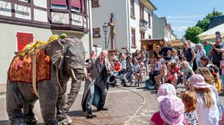 Plötzlich stapfte ein Elefant durch Lorsch. Clown Kaspar und seine Kollegen, die Rudi lebensecht darstellten, waren gleich von begeistertem Publikum umringt.