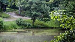 Am Striethteich in Elmshausen wird wieder gefeiert.