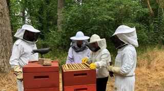 Zunächst wurde überprüft, ob es den Bienen auch gut geht. Zum Schluss durften sich Antonia und Lena auch noch über ein Glas leckeren Honig freuen.