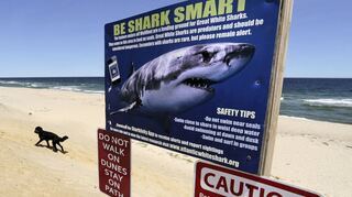 Ein Schild warnt Strandbesucher vor hungrigen Raubfischen: Innerhalb weniger Tage wurden zwei Menschen gebissen.