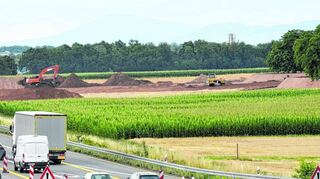 An der A 5 bei Ladenburg sind fast erntereife Weizenfelder von Bulldozern plattgemacht worden – im Auftraq der Autobahn GmbH.