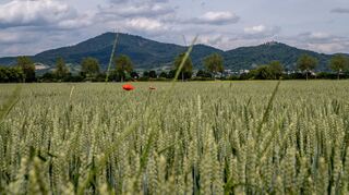 Können Wachstum und Flächenerhalt in Einklang gebracht werden? Im Bauausschuss stellten Vertreter der Arbeitsgruppe Flächenverbrauch der Biodiversitätskonferenz des Kreises eine Resolution gegen Flächenverbrauch vor – und baten die Kommunalpolitiker um Unterstützung.