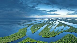An manchen Stellen schlängelt sich der Amazonas mehrspurig durch das dichte Grün des Regenwaldes.