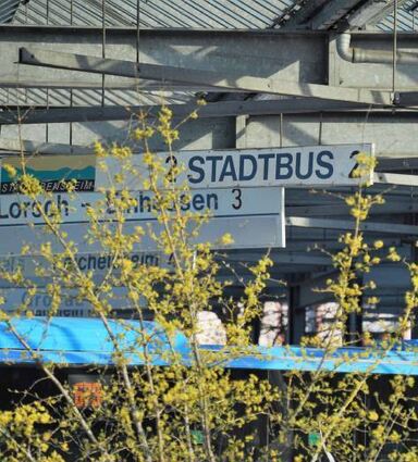 Seit Mitte Juni ist die neue Stadtbuslinie in Bensheim in Betrieb.