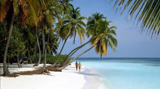 Sonne, Strand und Palmen – wie hier auf den Malediven: Für viele ist das der Traumurlaub schlechthin. Und einige Bergsträßer wollen den Traum in diesem Sommer Wirklichkeit werden lassen.