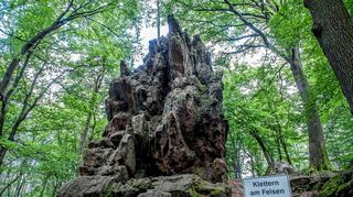 <p>Er ist derzeit Grund für viele Diskussionen: Kletterer wollen den "Hohenstein" zum Trainieren nutzen, seit einigen Wochen ist das aber verboten.</p>
