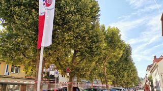 Am Mittwochvormittag konnte auf dem Graben noch geparkt werden, doch spätestens mit Beginn des großflächigen Aufbaus für die Stadtkirchweih müssen sich die Autofahrer auf ein noch knapperes Parkraumangebot in der Innenstadt einstellen.