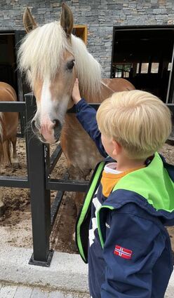Der Natur und den Tieren ist man im Hotel Gut Berg ganz nah.