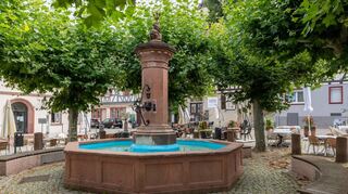 Zwingenberg ist die älteste Stadt an der Bergstraße und rund um den Brunnen am Marktplatz finden vor der historischen Fachwerkkulisse verschiedene Feste und Veranstaltungen im Laufe des Jahres statt – eine Veranstaltung wurde eingestellt. Welches Fest ist gemeint?