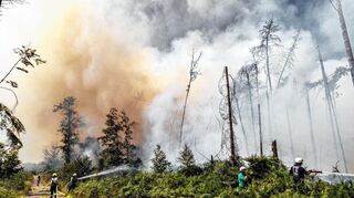 Eine Feuerwehr-Einheit aus Bensheim ist seit dem späten Samstagabend bei Münster im Kreis Darmstadt-Dieburg im Einsatz, um bei der Bekämpfung des Waldbrands auf dem Gelände eines ehemaligen Munitionslagers zu helfen.