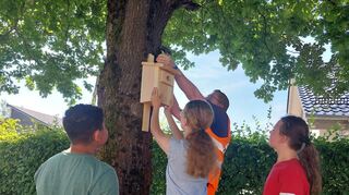 Projektinitiator Gunter Johe von der Straßenmeisterei Beerfelden befestigt gemeinsam mit drei Schülern der Projektklasse den ersten Nistkasten.