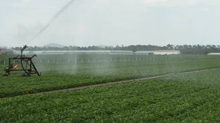 Meterhohe Wasserfontänen als Retter in der Not.
