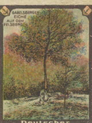 Der Deutsche Stenographenbund warb mit dem Motiv der Gabelsberger-Eiche am Felsberg unter anderem auf einer Reklamemarke für seine Belange.