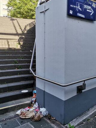 Ein wahlloses Durcheinander aus Zigarettenkippen und -verpackungen, Tüten und Bechern von Fast-Food-Ketten sowie weiterer Müll und Schmierereien lassen den Heppenheimer Bahnhof in keinem schönen Bild erscheinen.