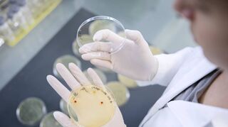Ein großer Anteil der Neuprojekte von Brain resultiert aus der Nutzung von Brains Genom-Editing-Tools (Veränderung von DNA einschließlich Erbgut).