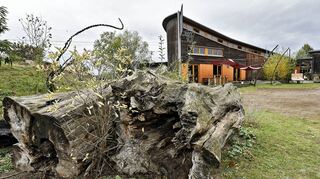 Das Naturschutzzentrum erhält ab 2023 einen höheren Zuschuss von der Stadt. Insgesamt werden dann 60 000 Euro statt 50 000 Euro im Jahr gezahlt. Die Stadtverordnetenversammlung stimmte der Verwaltungsvorlage einstimmig zu.