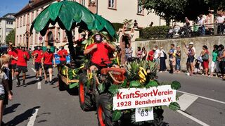 Die Ringer des KSV machten sich für den Festzug bewusst und mit viel Hingabe zum Affen.