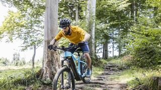 Kraft und Reichweite sind bei E-Mountainbikes besonders gefragt.