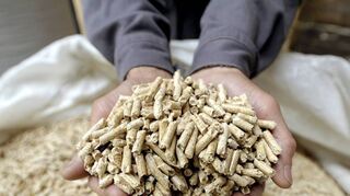Es gibt genügend Rohstoffe für Pellets in Deutschland, trotzdem steigen die Preise dafür gerade enorm an.