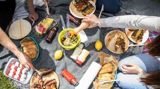 Ein Picknick im Park zusammen mit Freunden ist immer eine gute Idee.