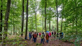 Bei einem Ortstermin der BfB im Felsbergwald informierten Naturschützer über die Forderung nach einer Umwandlung des Gebiets in einen Naturwald.