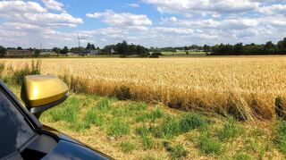mid Groß-Gerau - Zum goldfarbenen Dach farblich abgestimmte Rückspiegel.