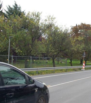 bzw_Mandelbaeume

Seeheim-Jugenheim. Wenn die Mandelbäume zwischen Seeheim und Jugenheim im Frühjahr in voller Blüte stehen und sich in sattem Rosa präsentieren, dann zeigt sich die Bergstraßen-Gemeinde von ihrer schönsten Seite, heißt es in einer Pressemitteilung aus dem Seeheim-Jugenheimer Rathaus. Vier der Bäume an der Heidelberger Straße in Höhe der Baustelle fürs Forum am Rathaus müssen jetzt jedoch gefällt werden, da sie von der Monilia-Spitzendürre befallen sind, die durch einen Pilz übertragen wird. Längst haben sie ihr vitales Aussehen verloren. Die Fällung der Mandelbäume soll noch im Oktober vorgenommen werden. Damit die Baumblüte dort bald wieder ohne eine größere Lücke das Ortsbild ziert, ist eine Ersatzpflanzung vorgesehen  allerdings erst, wenn die Bauarbeiten am Forum abgeschlossen sind. red/Bild Mi / Gemeinde Seeheim-Jugenheim
