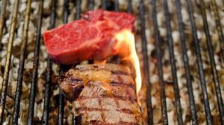 Podiumsrunde um die Frage: „Wie viel Steak verträgt das Klima?“