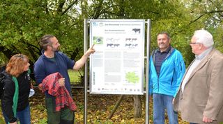 Die neue Infotafel in Groß-Rohrheim zum Auerrinderprojekt wurde (von links) von Jutta Weber, der Geschäftsführerin des Geo-Naturparks Bergstraße-Odenwald, Claus Kropp (Lauresham), Walter Öhlenschläger vom Groß-Rohrheimer Heimat- und Geschichtsverein und Bürgermeister Rainer Bersch begutachtet.