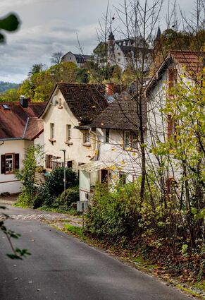 bfr, Am Rosengrund in Schönberg, Mittwochsserie,, Bild: Thomas Neu