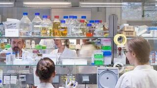 Die MP Beteiligungs GmbH hält jetzt 45 Prozent der Anteile an der Zwingenberger Brain Biotech AG.