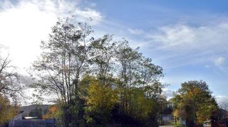 Auf der Wiese unterhalb der Tennisplätze am Reiterweg soll eine Bebauung mit „maximal sechs bis sieben Häusern“ entstehen. Auch die Tennisplätze könnten zu einem späteren Zeitpunkt einer Bebauung weichen.