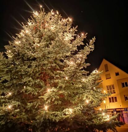 ble_Weihnachtsbaum Einhausen. Bild: Keller