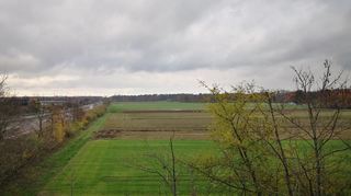 Die aktuelle Vorzugsvariante sieht vor, dass die neue Bahntrasse auf offener Strecke östlich der A 67 an Einhausen vorbeiführt. Im Rahmen der Vorplanung für den Streckenabschnitt wird jetzt aber auch untersucht, ob die Schienen nicht bereits am Waldrand (hinten im Bild) in einem Tunnel verschwinden könnten.