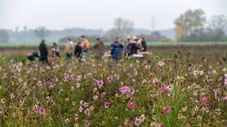 Abschluss Blühwiesen-Projekt der Fam. Schweickert - Treffen an der Blühwiese (Westtangente) ,
,, Bild: Thomas Neu