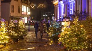 Lorsch,BLE, Weihnachtswald rund ums Stadthaus
 
Wahlbeobachter
04.12.2022 / Foto: Thorsten Gutschalk