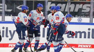 Adler Mannheim unterliegen in Düsseldorf